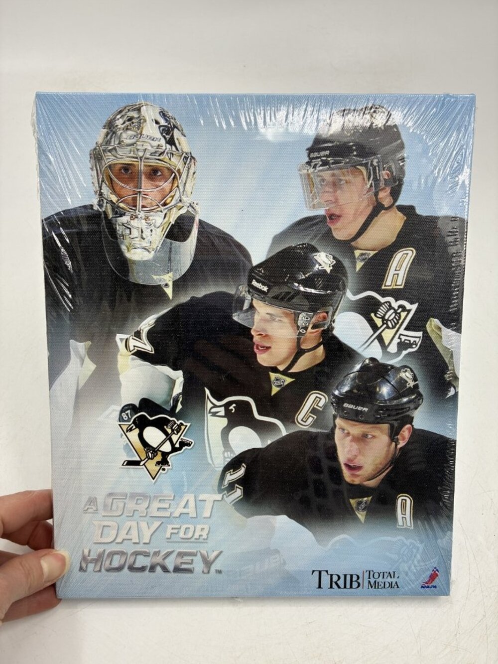 Pittsburgh Penguins NHLPA A Great Day for Hockey Canvas Print Wall Art Crosby